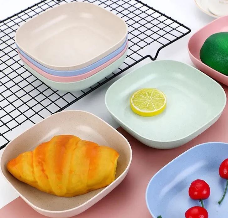 10 Pcs Set of Dish Plates with Free Holder
